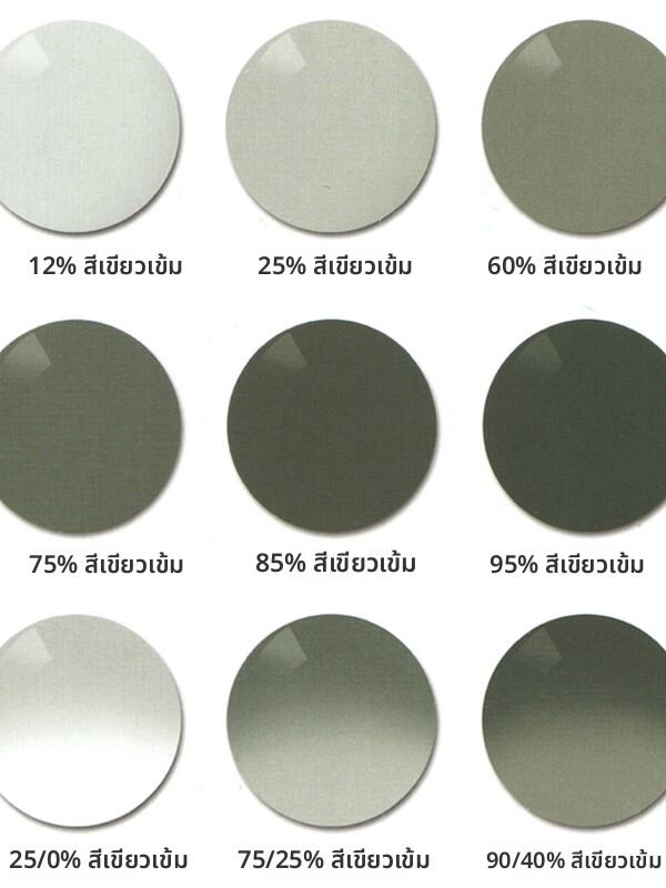ZEISS | Prescription Full and Half Tinted Sunglasses Lenses ราคา 6,144 บาท*ส่งฟรี
