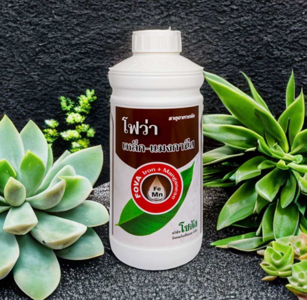 โฟว่า เหล็ก-แมงกานีส (Fova Iron+Manganese) ราคา 309 บาท*ส่งฟรี