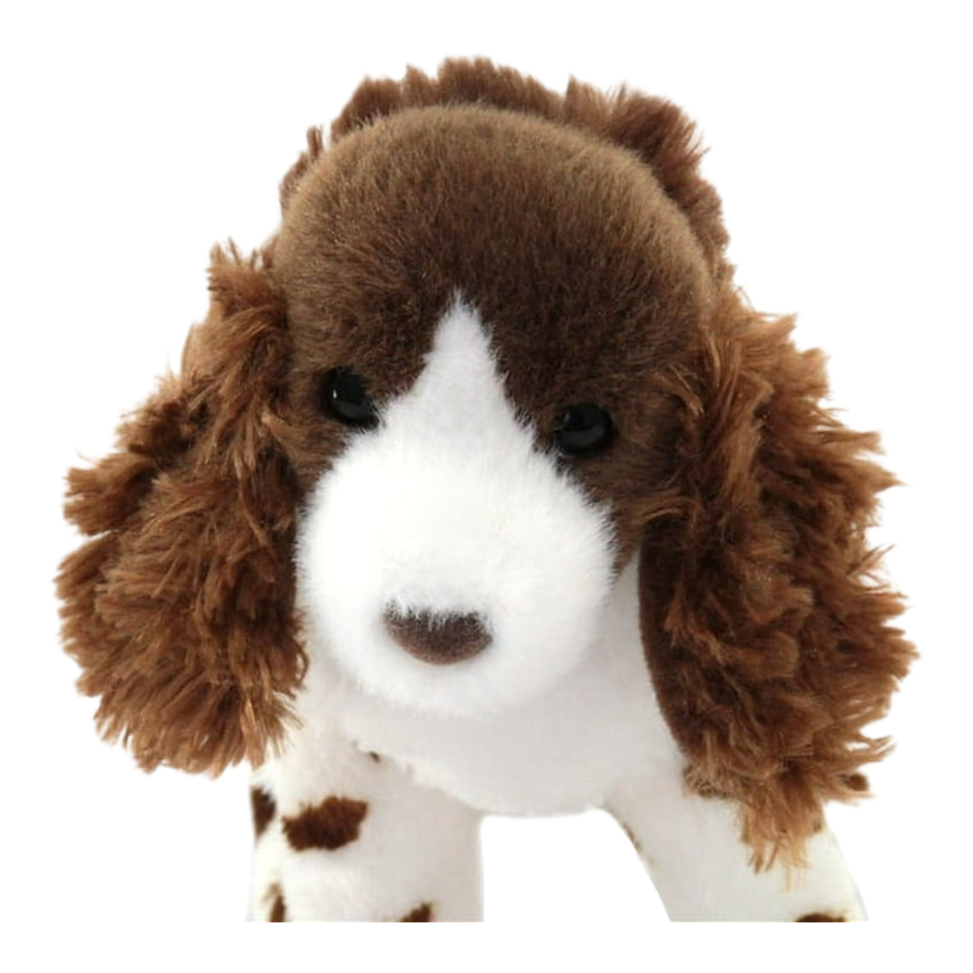 English Springer Spaniel Doll, Douglas Brand. ราคา 399 บาท*ส่งฟรี