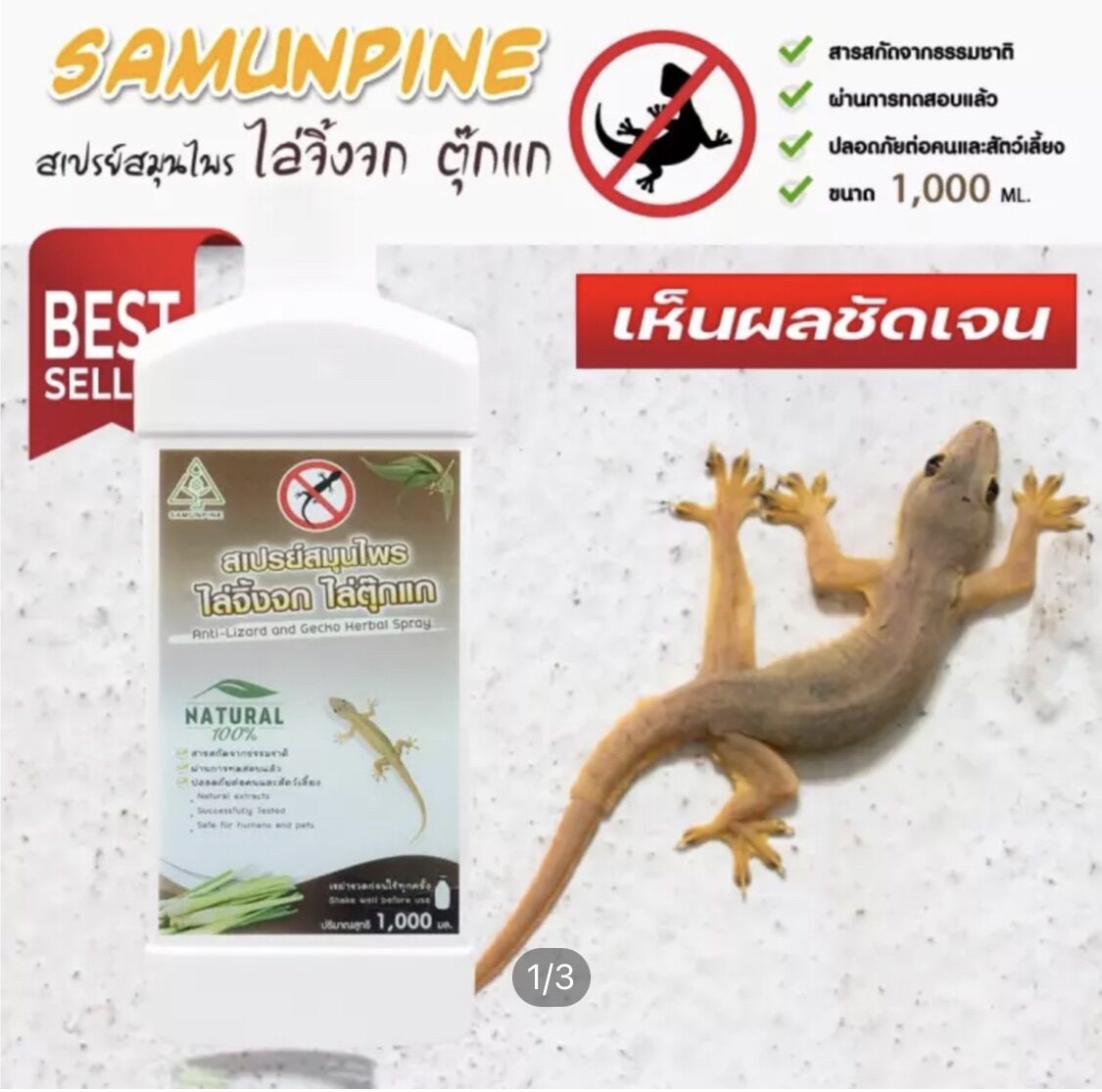 Anti-Lizard and Gecko Herbal Spray 1000 ml. ราคา 399 บาท*ส่งฟรี