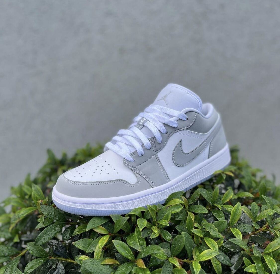 nike-air-jordan-1-low-wolf-grey-100