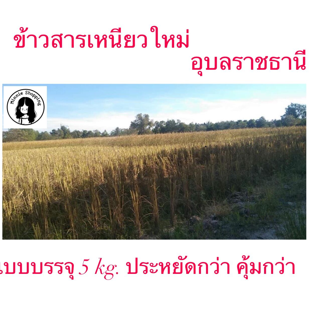 My Image 72