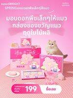 BRIGHT | แพ็คครอบครัว อาหารเปียกสำหรับแมว แบบทาร์ต