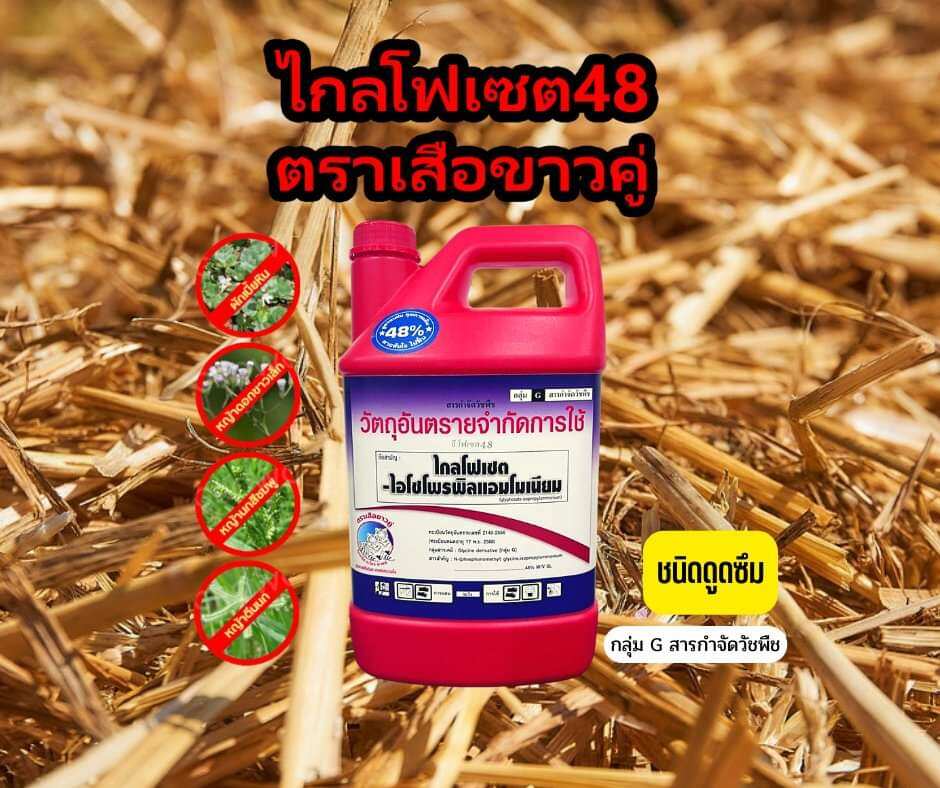 My Image 27