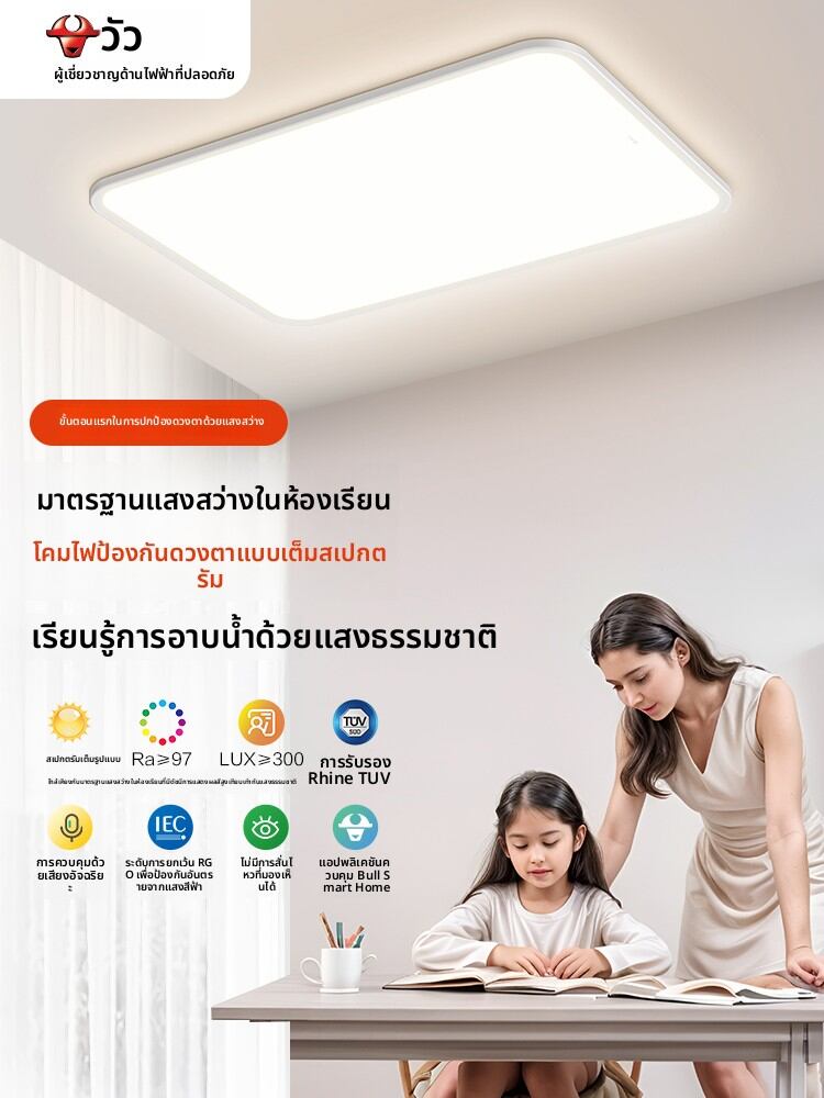 Bull | Protective Eyes Full Spectrum Ceiling Light ราคา 15,543 บาท*ส่งฟรี