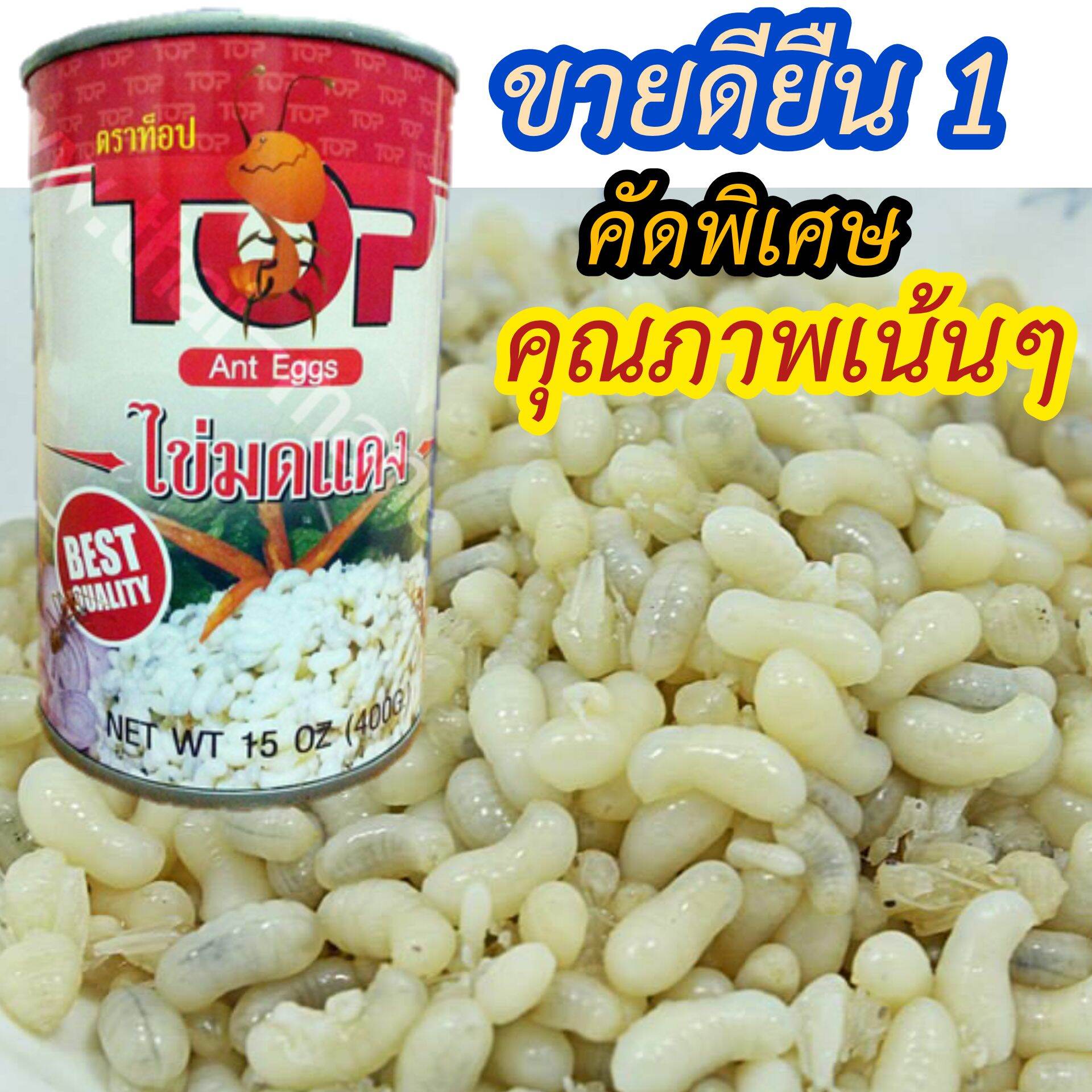 คัดพิเศษ ไข่มดแดงคุณภาพเน้นๆ ไข่มดแดงกระป๋อง topไข่มดแดงอัดกระป๋อง