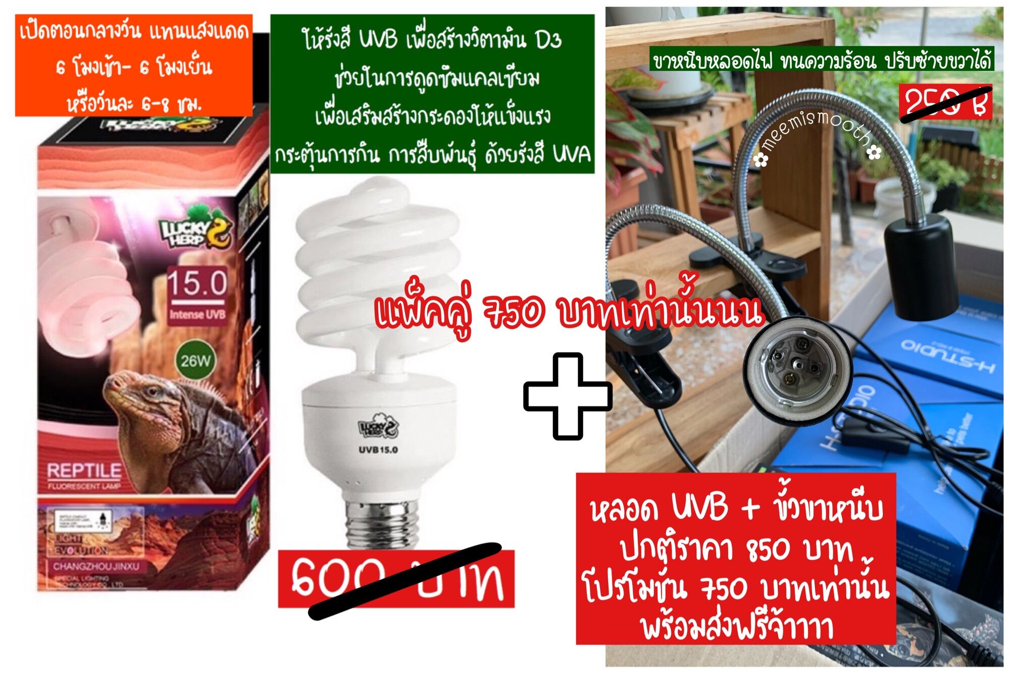 หลอดไฟ UVB 15.0 + ขั้วขาหนีบเซรามิก สำหรับสัตว์เลื้อคลาน