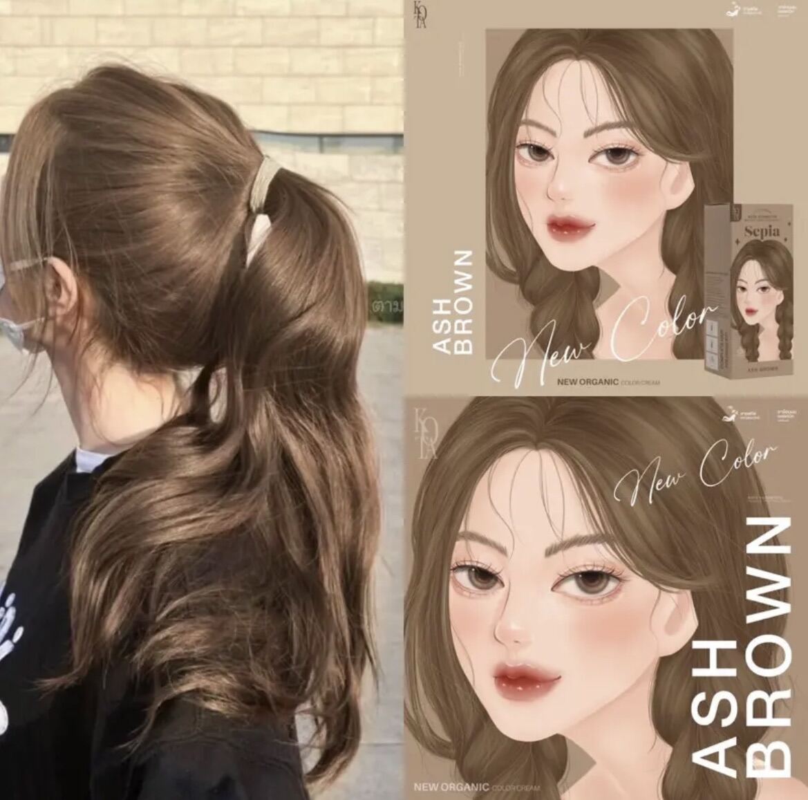 พร้อมส่ง สีผมkota ยาย้อมผม kota สีAsh brown Lazada.co.th