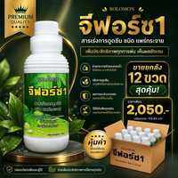 จีฟอร์ซวัน (ยกลัง) 12ขวด ผสมซิลิคอน สารจับใบเร่งการดูดซึม สูตรเข้มข้น สูตรไม่มีแอลกอฮอล์ ไม่ทำร้ายใบพืช ปรับสภาพน้ำ