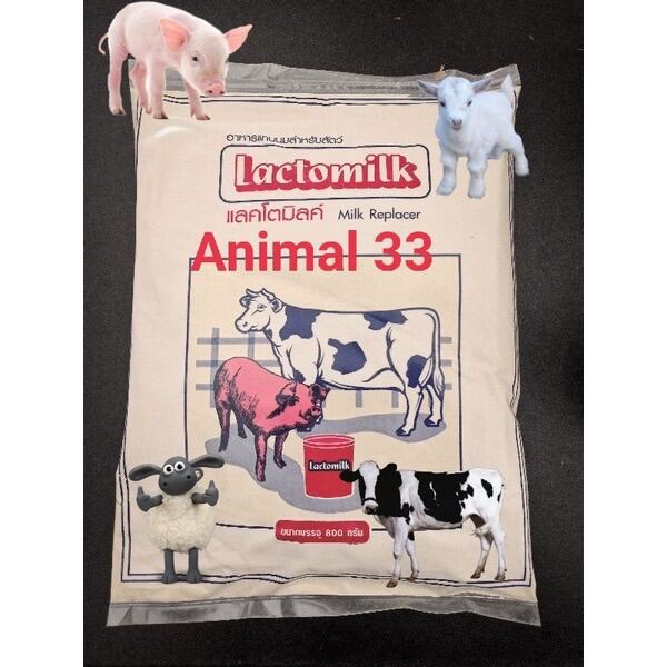 Lactomilk นมผง นม นมสำหรับสัตว์ Exp 1/6/67 | Lazada.co.th