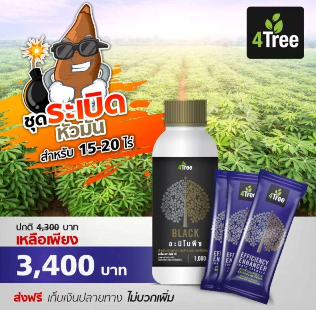 Amino Blackอะมิโนแบล็ค(1000ml)4treeโฟร์ทรี(3ซอง)ชุดระเบิดหัวมัน หัวใหญ่ยาว น้ำหนักดี เปอร์เซ็นต์แป้งสูงจักส่งทุกฃวัน ของแท้100% ราคา 3,390 บาท*ส่งฟรี