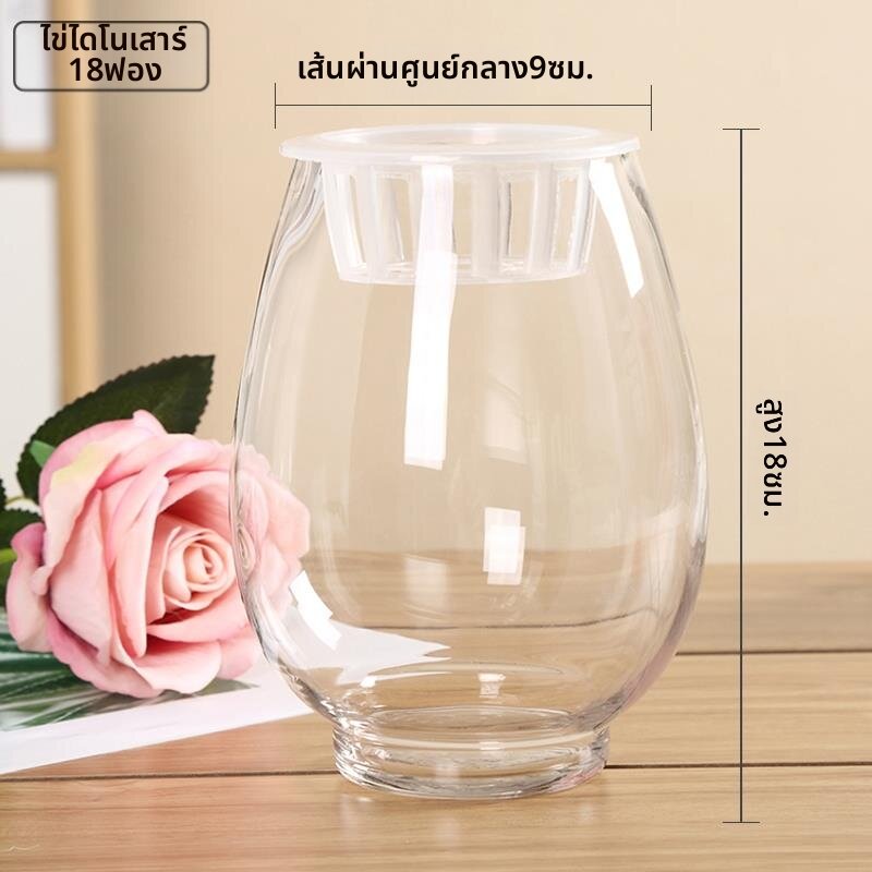 Jiaxu | แจกันปลูกพืชแบบไฮโดรโพนิกส์ใสและหนา