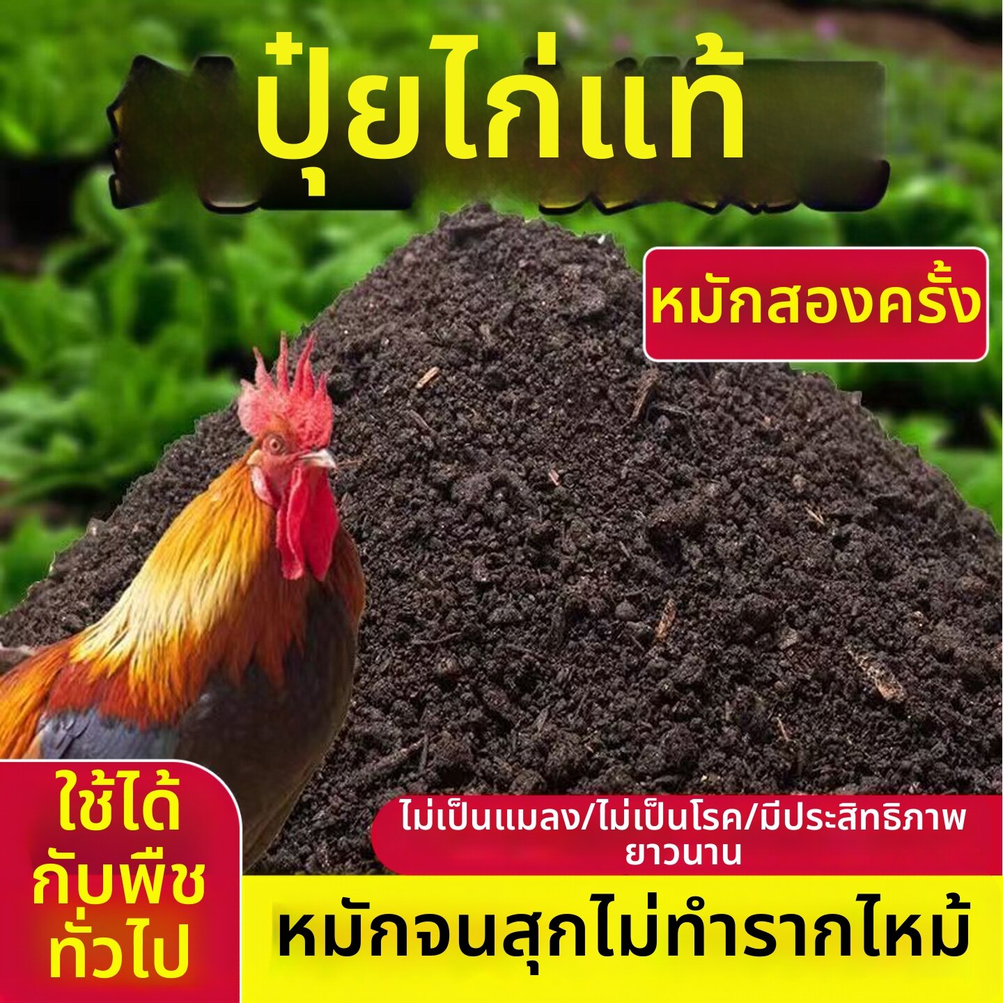 FEIZHUXIANSEN | Fermented Chicken Manure Plant Fertilizer ราคา 336 บาท*ส่งฟรี