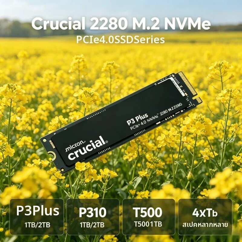 crucial | M.2 2280 PCIe 4.0 NVMe SSD ความจุ 1TB/2TB Crucial P3 Plus P310 & T500 OEM อุปกรณ์จัดเก็บข้อมูลภายในสำหรับใช้งานเดสก์ท็อปและแล็ปท็อปในชีวิตประจำวัน ราคา 13,311 บาท*ส่งฟรี