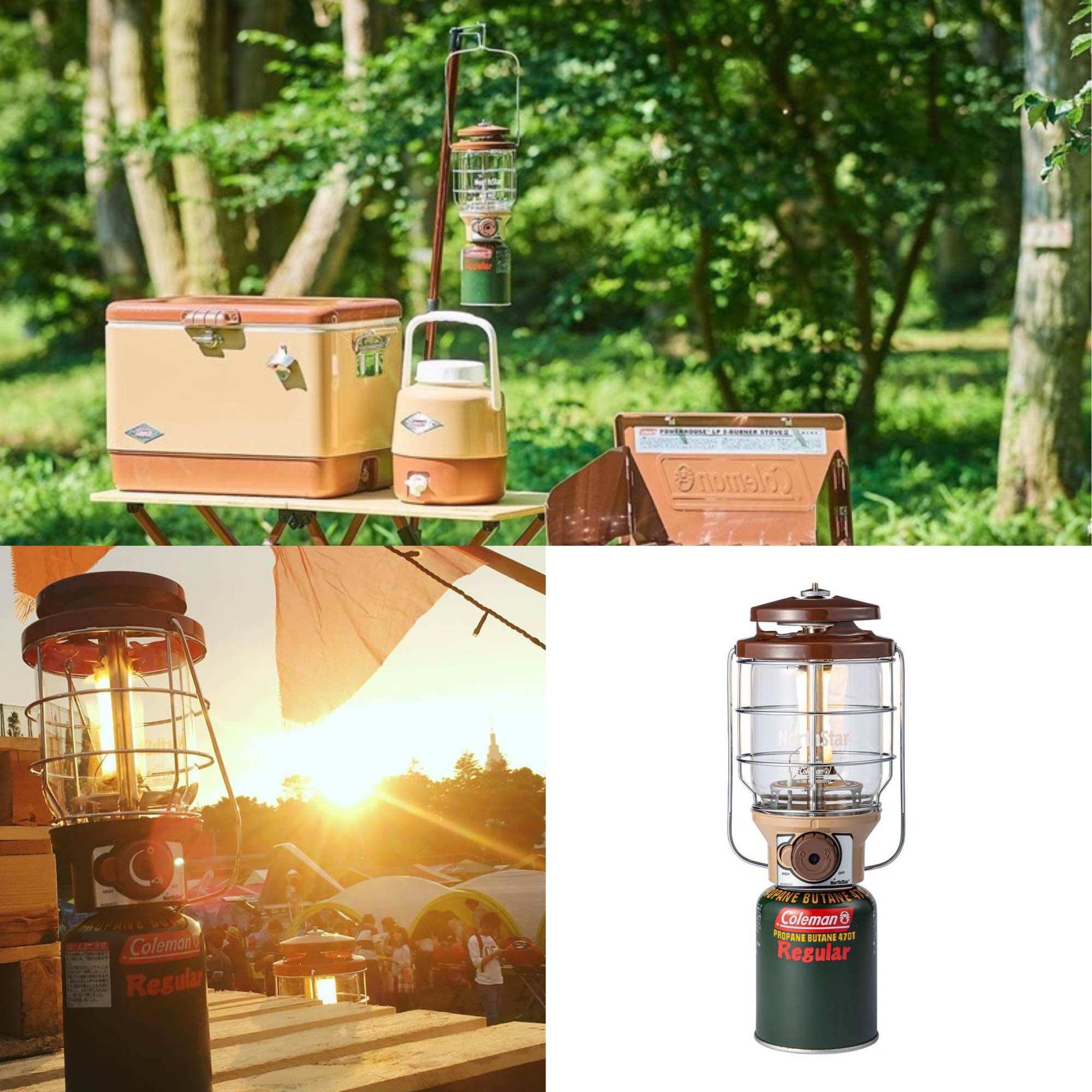 ช้อป Coleman Northstar Lantern Gas ออนไลน์ในราคาที่ดีกว่า | Lazada