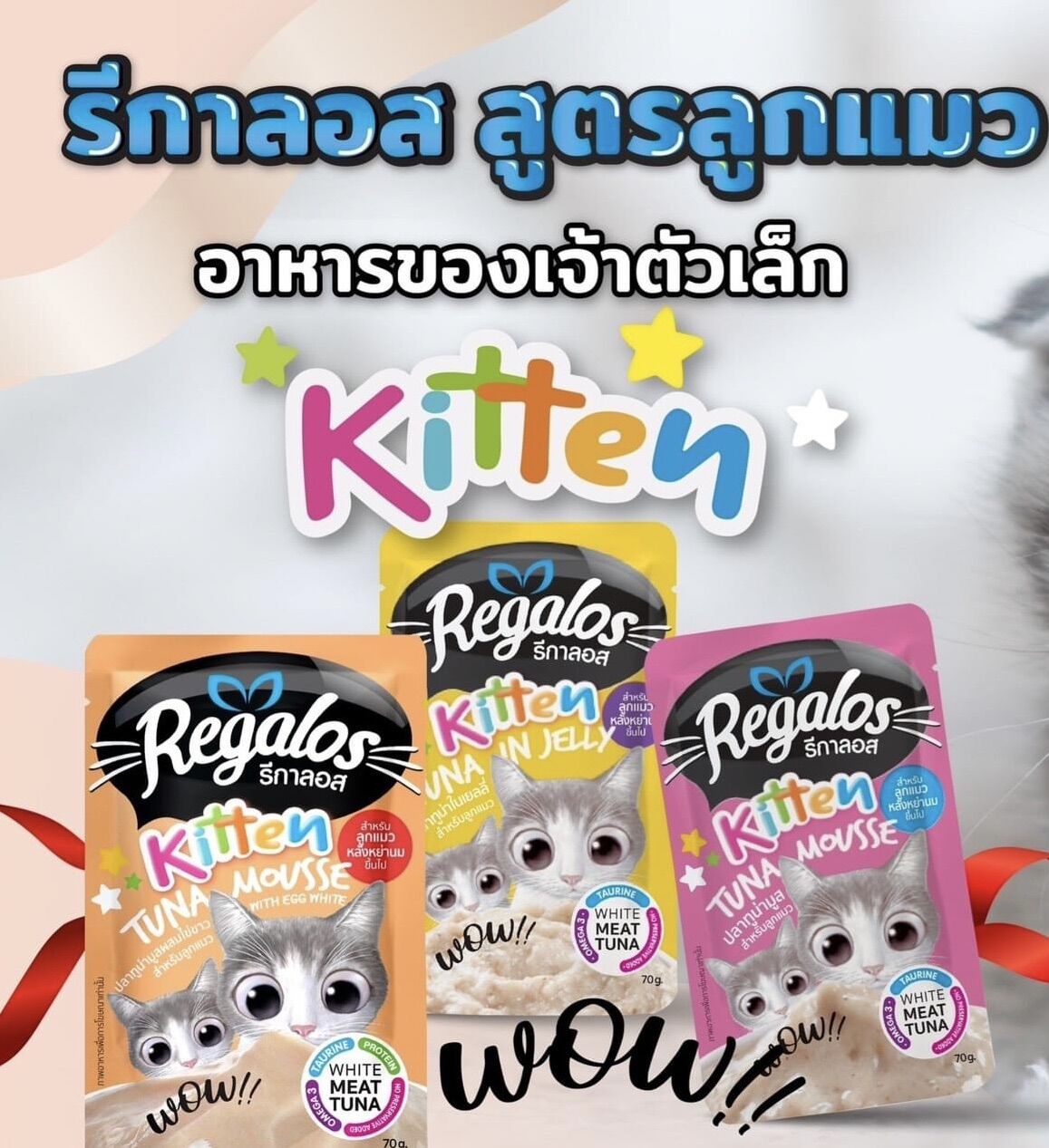 regalos รีกาล้อส ลูกแมว ขนาด70กรัม 1โหล มี12ห่อ มี 3รส คละรสได้ แจ้งในแชตเลยค่ะถ้าไม่แจ้ง ทางร้านจัดคละให้เลยนะค่ะ ราคา 259 บาท*ส่งฟรี