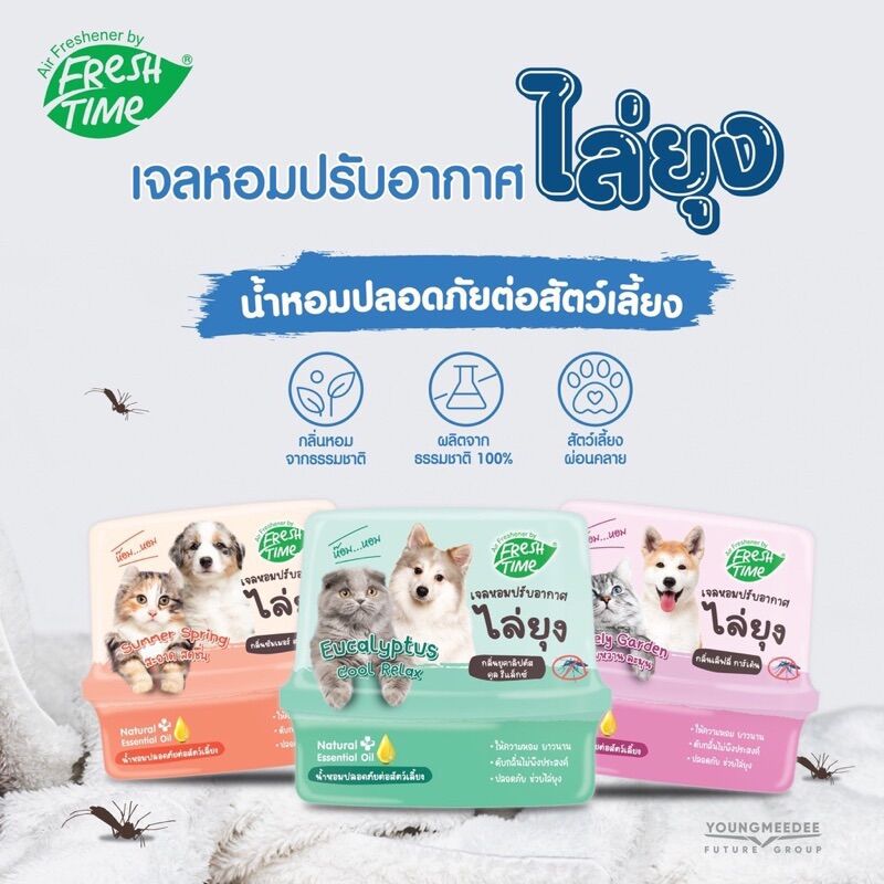 Freshtime เฟรชไทม์ เจลหอมปรับอากาศ สูตรไล่ยุง ขนาด 180กรัม หอมสะอาด ...