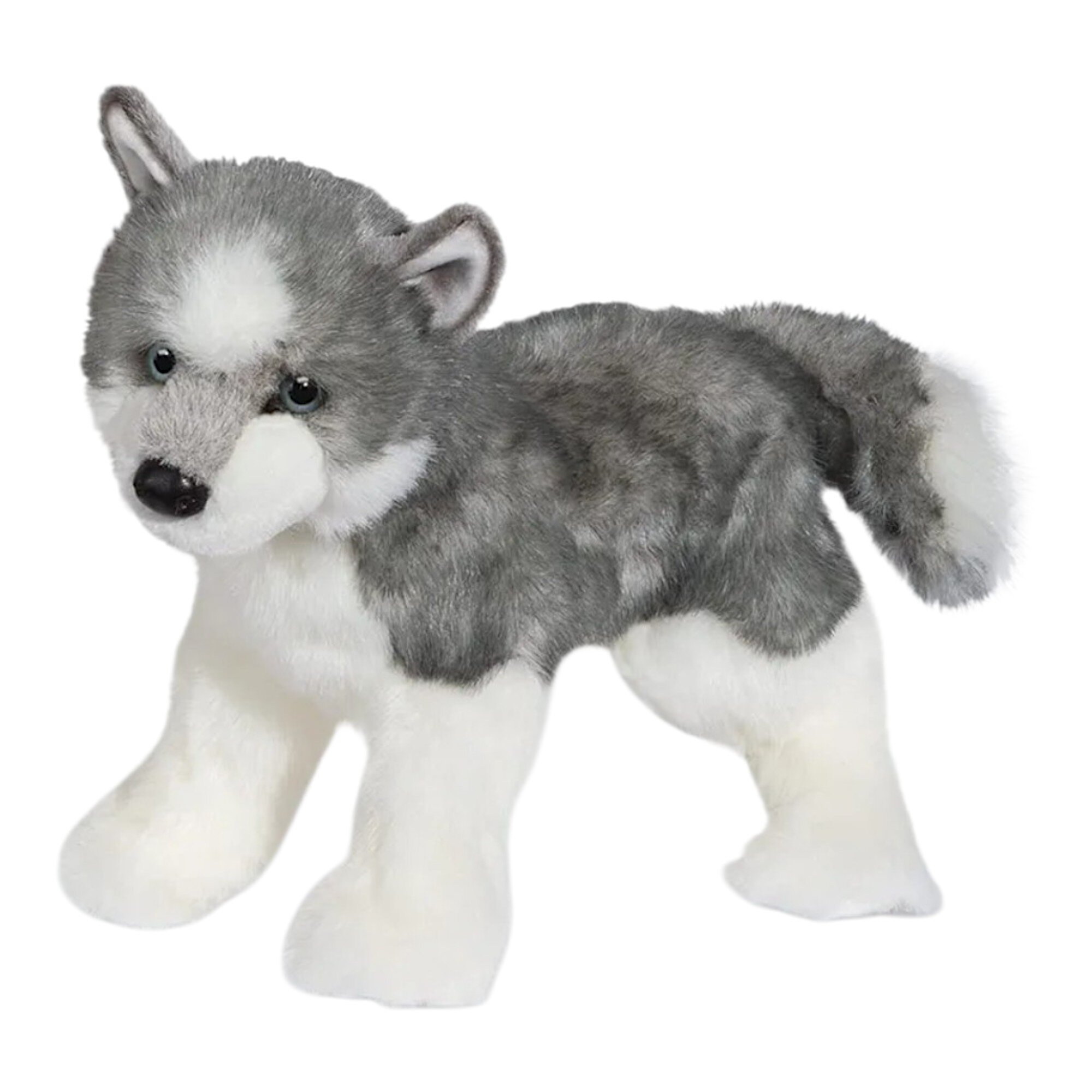 Douglas Sasha Husky Dog Doll, Medium Size, Fluffy Gray-White Fur, Cute Black Eyes. ราคา 599 บาท*ส่งฟรี