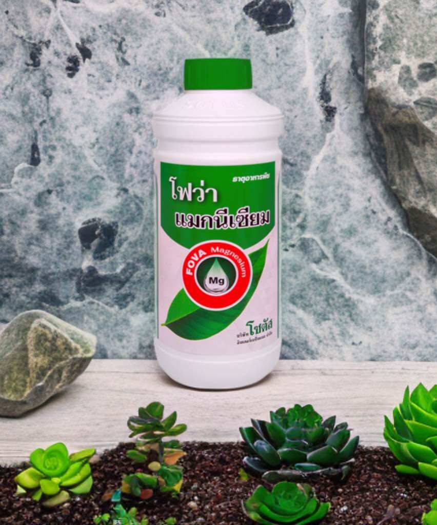 โฟว่า แมกนีเซียม (Fova Magnesium) ราคา 309 บาท*ส่งฟรี