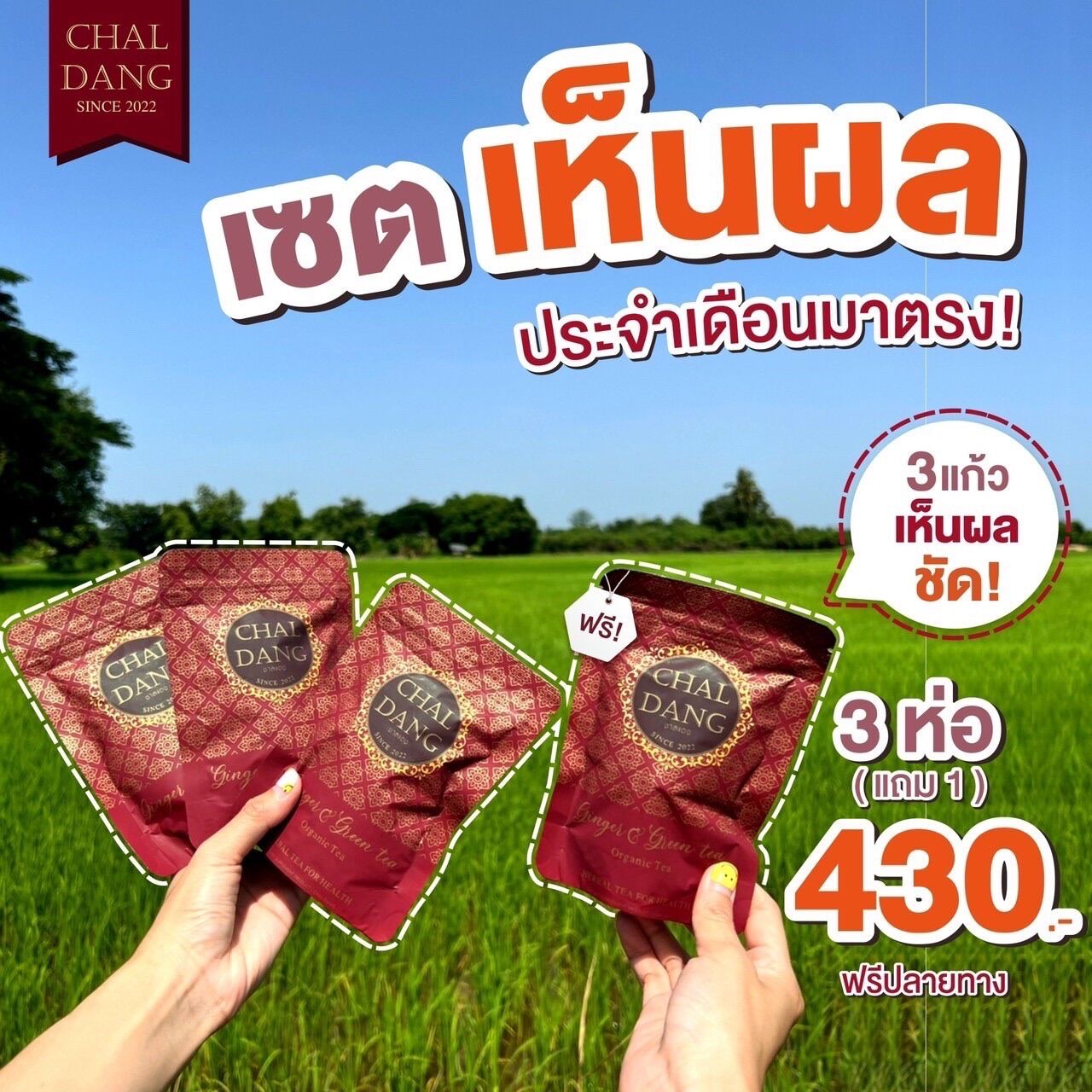 My Image 24
