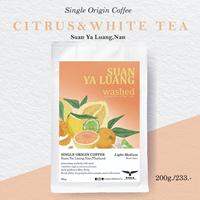 Suan Ya Luang เมล็ดกาแฟคั่ว ดอยสวนยาหลวง อ.ท่าวังผา จ.น่าน Single Origin Coffee