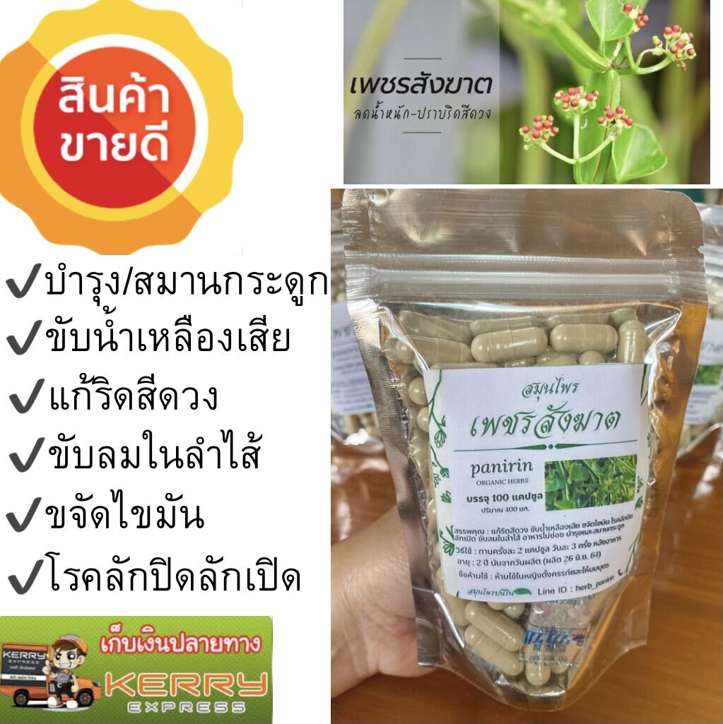 สมุนไพร เพชรสังฆาต แท้ 100% บรรจุ 100 แคปซูล (ปริมาณ 400 มก.) ไม่ผสมแป้ง ไม่เจือสีสังเคราะห์