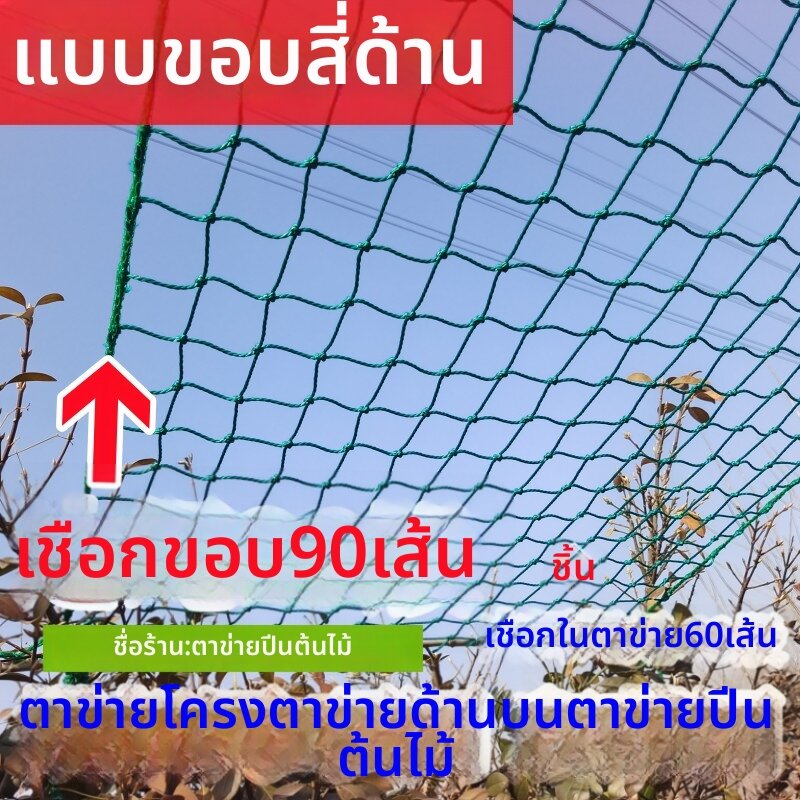 FEIZHUXIANSEN | Climbing Support Net for Garden ราคา 444 บาท*ส่งฟรี