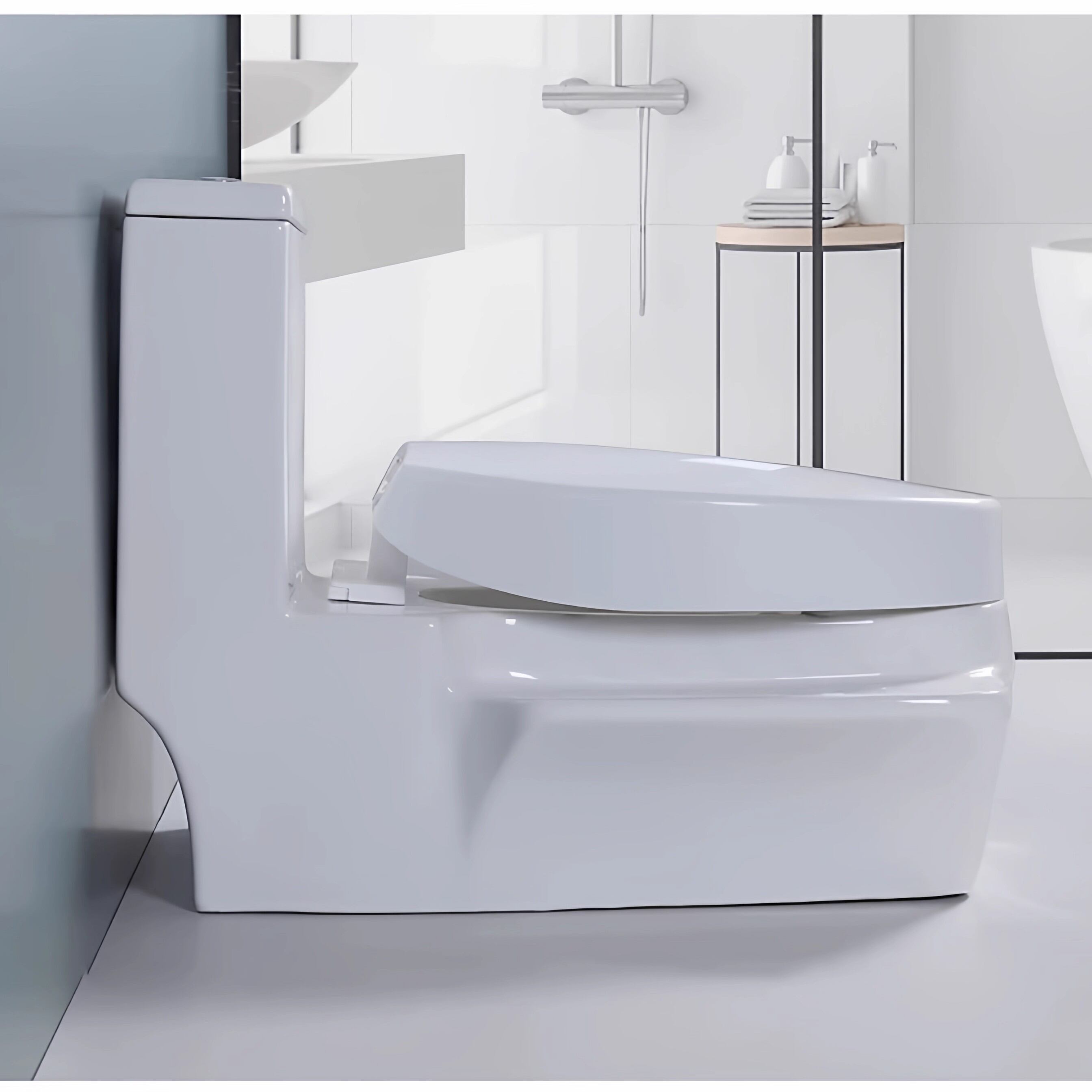 TEM | Convertible Toilet Seat with Squat and Sitting Options ราคา 6,152 บาท*ส่งฟรี