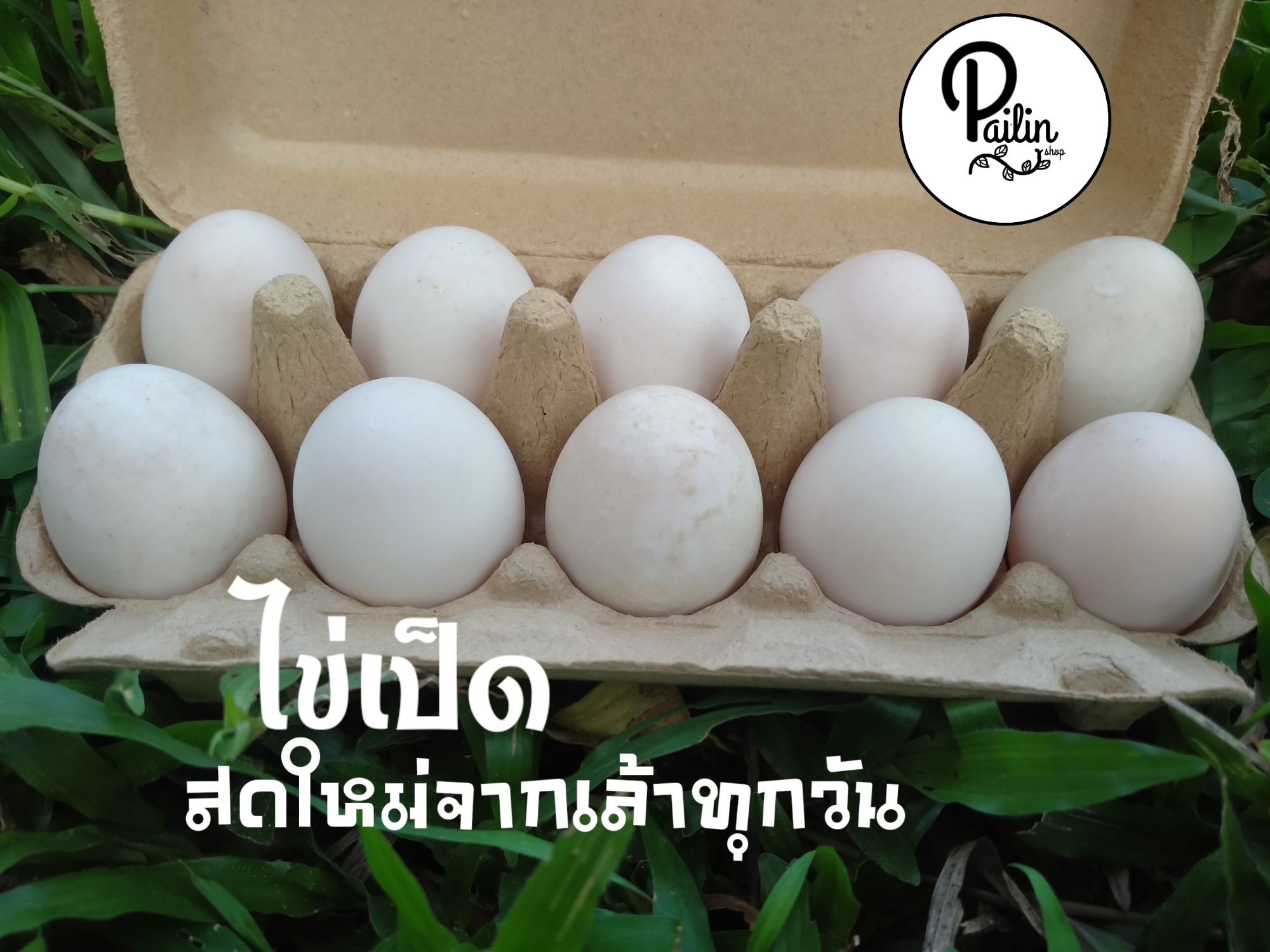 ไข่เป็ด สดใหม่จากเล้าทุกวัน คละไซส์(แพ็ค 10 ฟอง) | Lazada.Co.Th