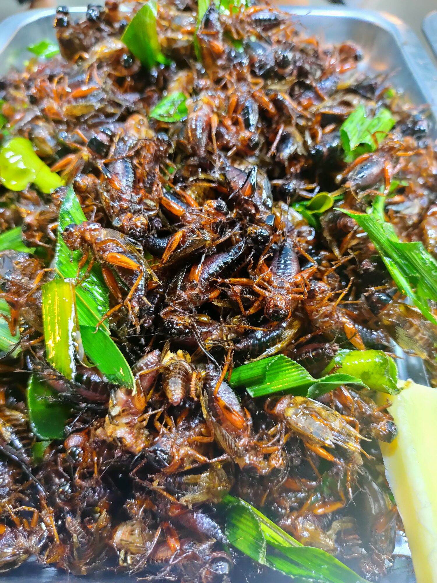 ภาพประกอบจิ้งหรีดทอดสมุนไพร
