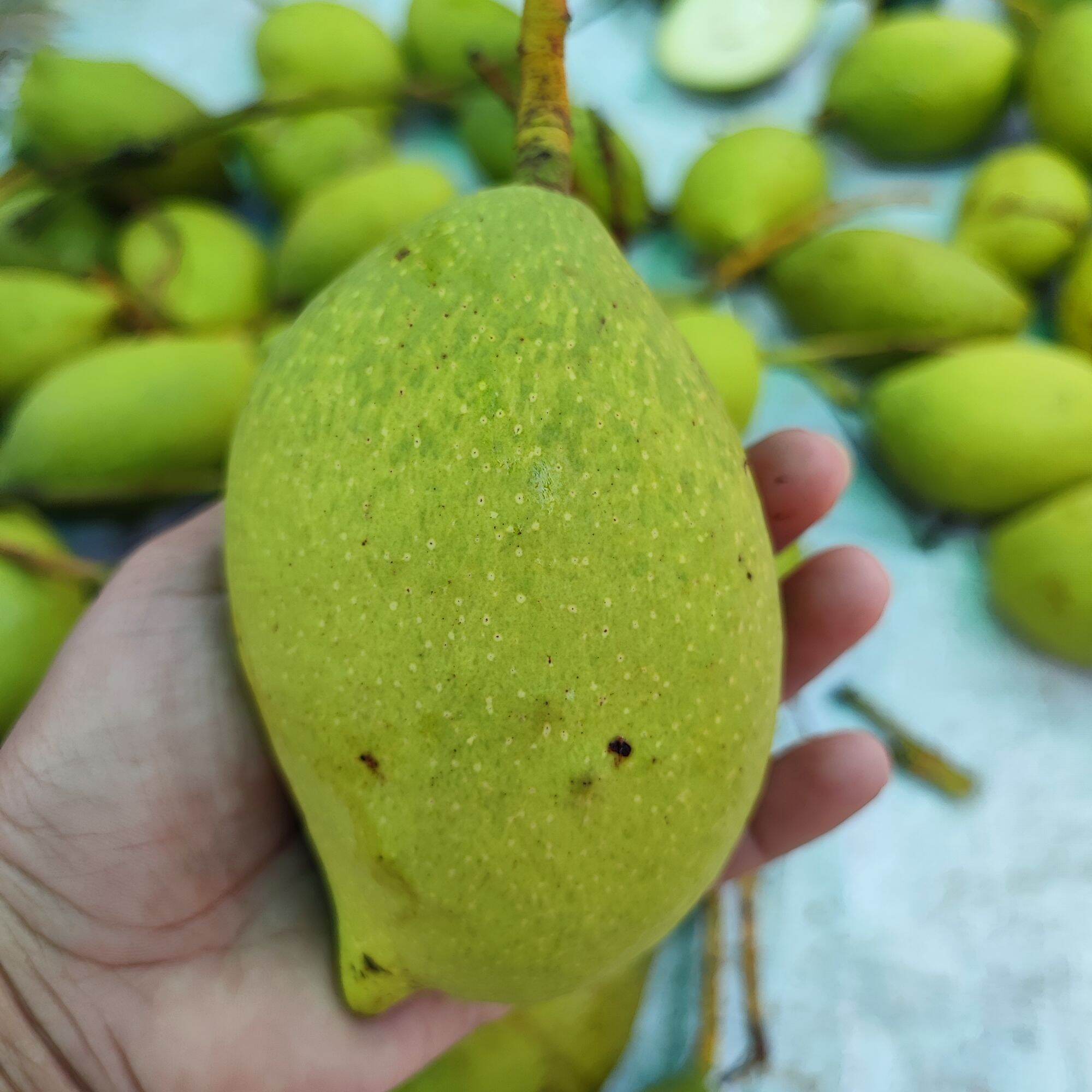 ช้อป จะกล้า ชั้น ออนไลน์ในราคาที่ดีกว่า Lazada Thailand