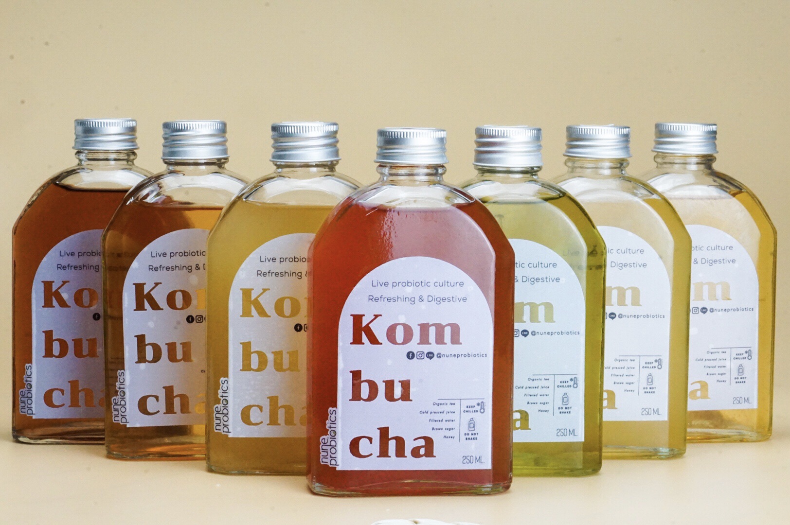 Kombucha ชาหมักผลไม้