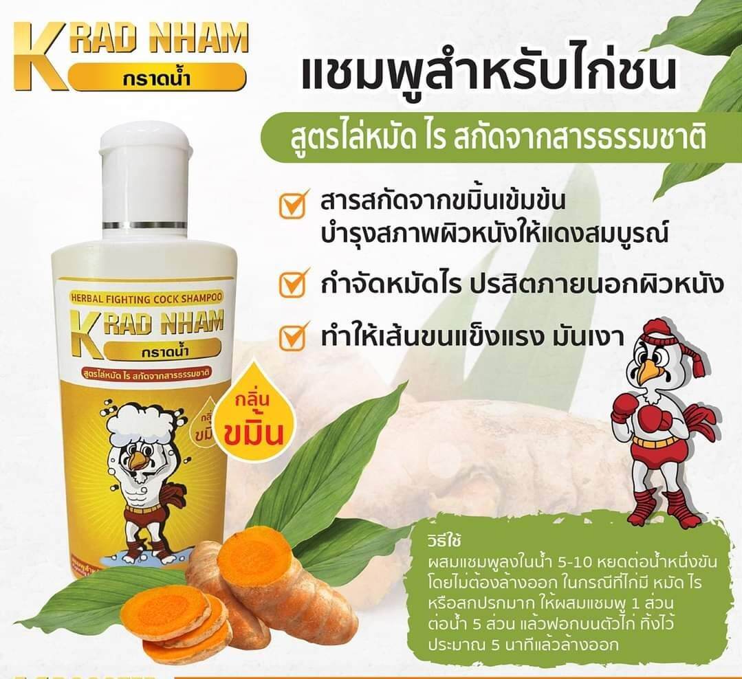 แชมพูไก่ชน(สูตรขมิ้น) สำหรับไก่สาวไก่ทำสาวลงรังนาน ไก่หนุ่มมีแมลงไร กวน