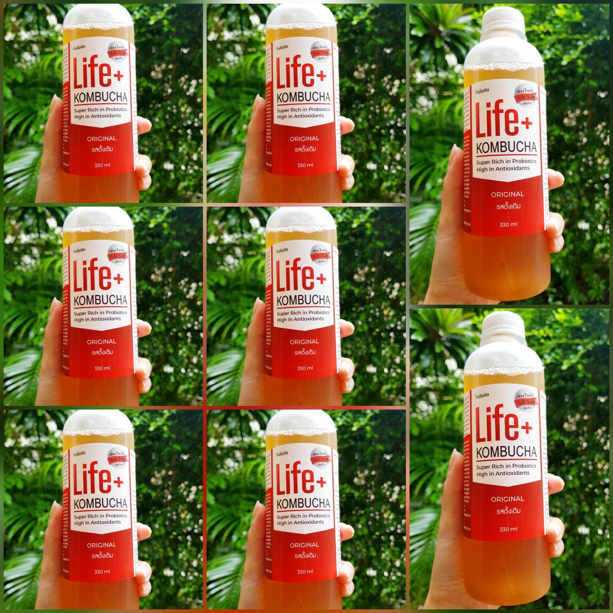 แพค 8 ขวด รสดั้งเดิม Life+ KOMBUCHA raw organic 330 ml คอมบูชา คอมบูชะ ชาหมัก ดีท็อกซ์ โพรไบโอติก คอมบูฉะ probiotic