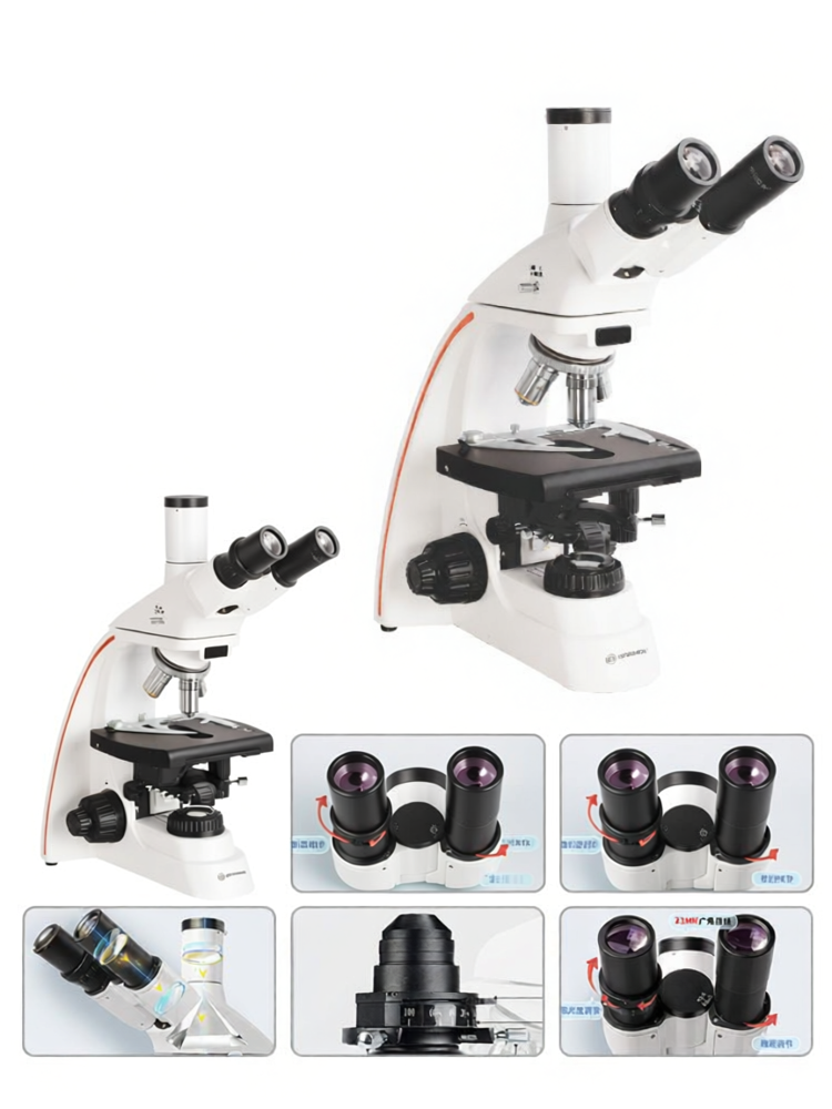 Bresser | Professional Laboratory Microscope For Examining Sperm Bacteria ราคา 40,836 บาท*ส่งฟรี