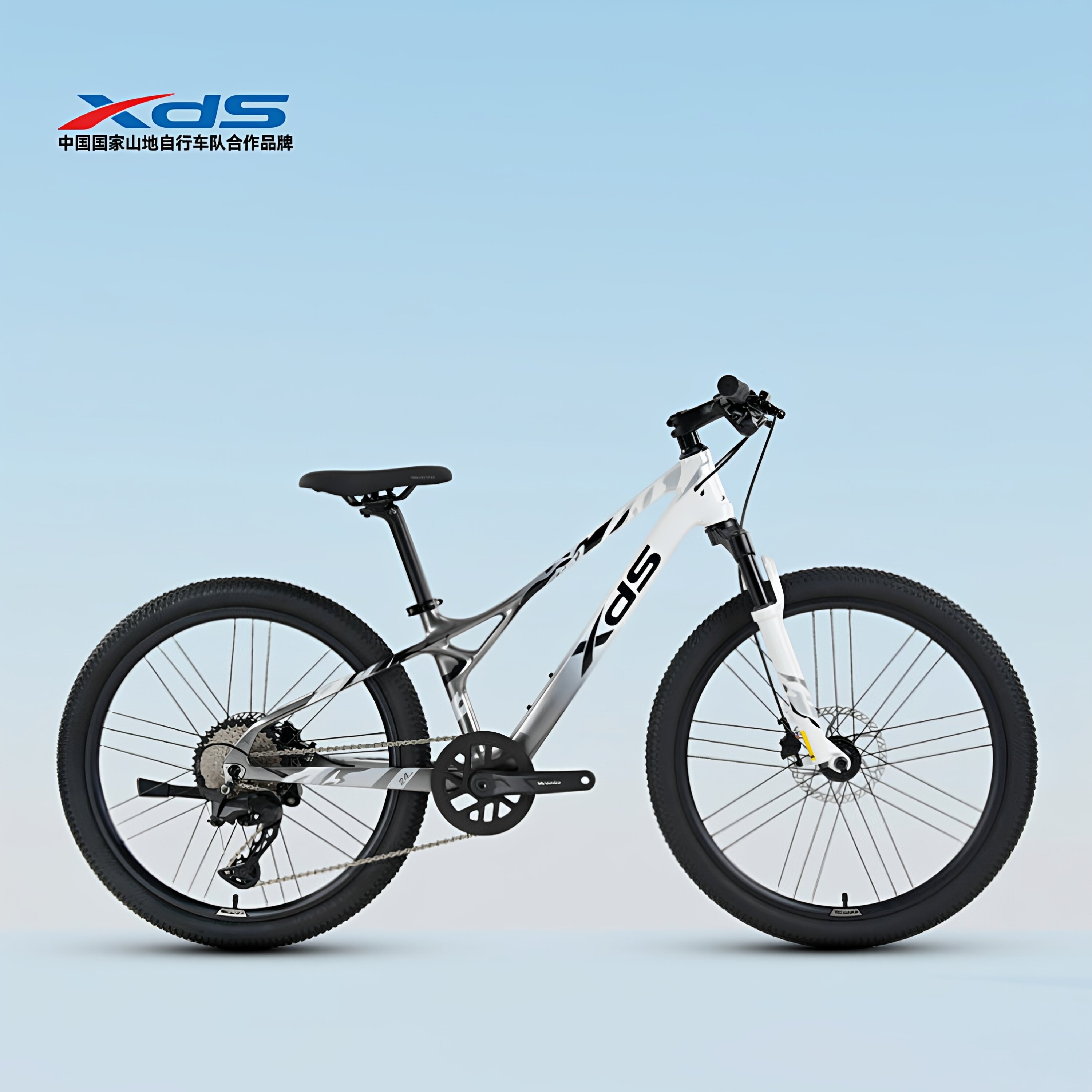 Carbon Fiber Youth Bike 24 inch ราคา 33,898 บาท*ส่งฟรี